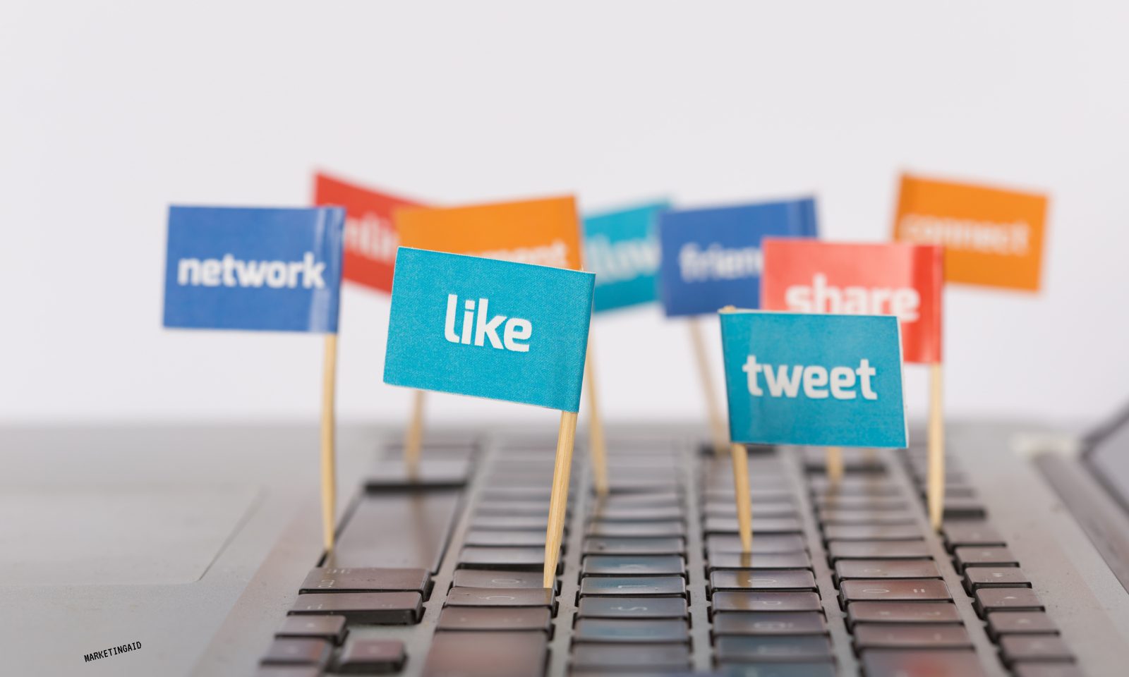 TikTok vs Instagram vs Facebook: What Works for Jacksonville Businesses in 2025?